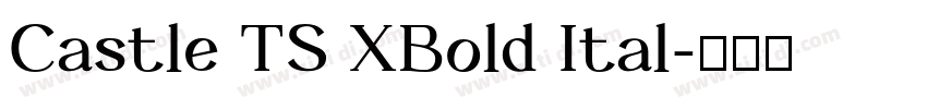 Castle TS XBold Ital字体转换